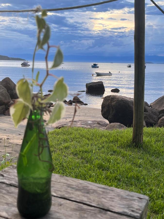 Fauna Praia do Bananal Εξωτερικό φωτογραφία